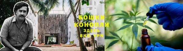 молекула духа Инта
