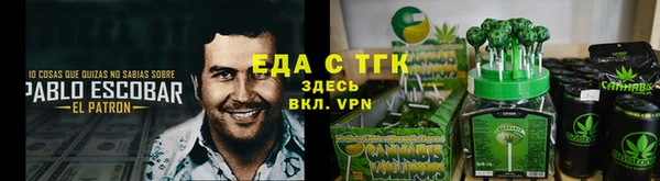 тгк Инсар