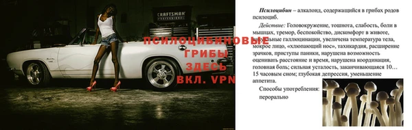 тгк Инсар