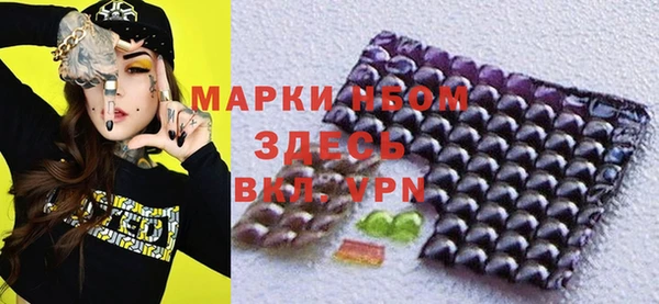 тгк Инсар