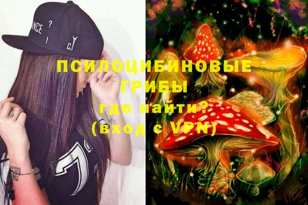 тгк Инсар