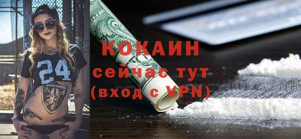 тгк Инсар