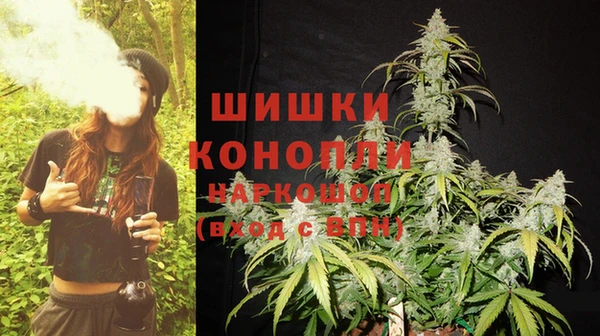 тгк Инсар