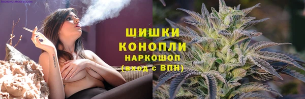 тгк Инсар