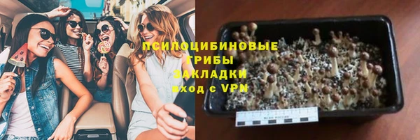 ПСИЛОЦИБИНОВЫЕ ГРИБЫ Иннополис